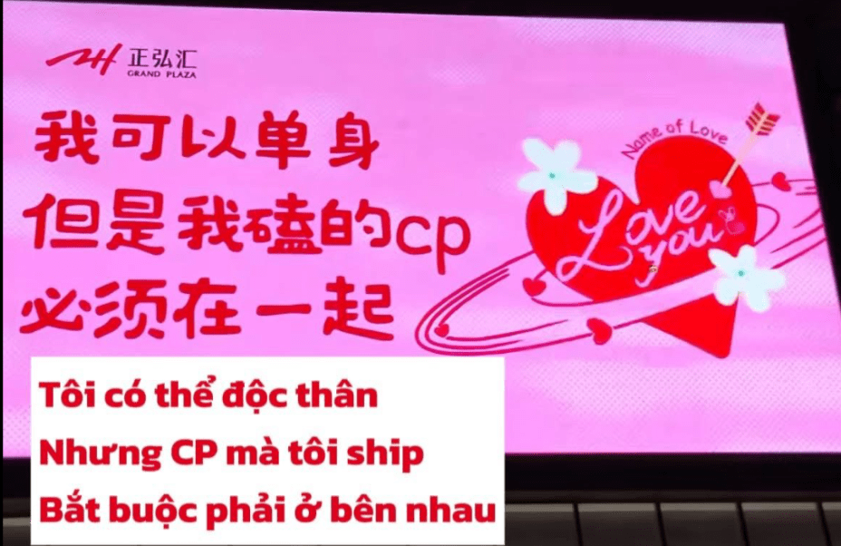 我可以单身但是我磕的CP必须在一起