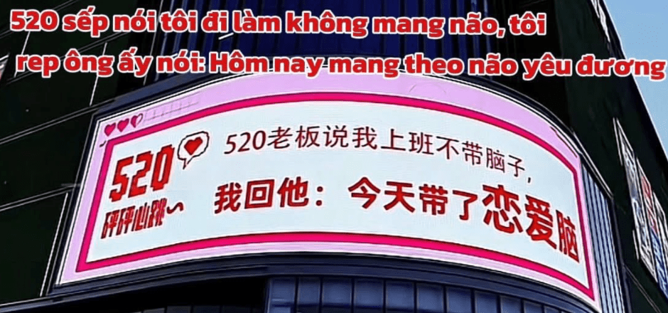 老板说我上班不带脑子,我回他:今天带了恋爱闹