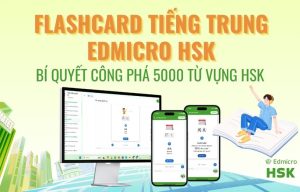 Flashcard Edmicro HSK