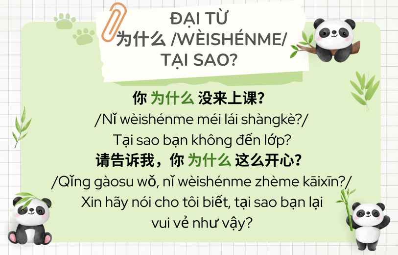 Ví dụ đại từ nghi vấn tiếng Trung 为什么 /wèishénme/