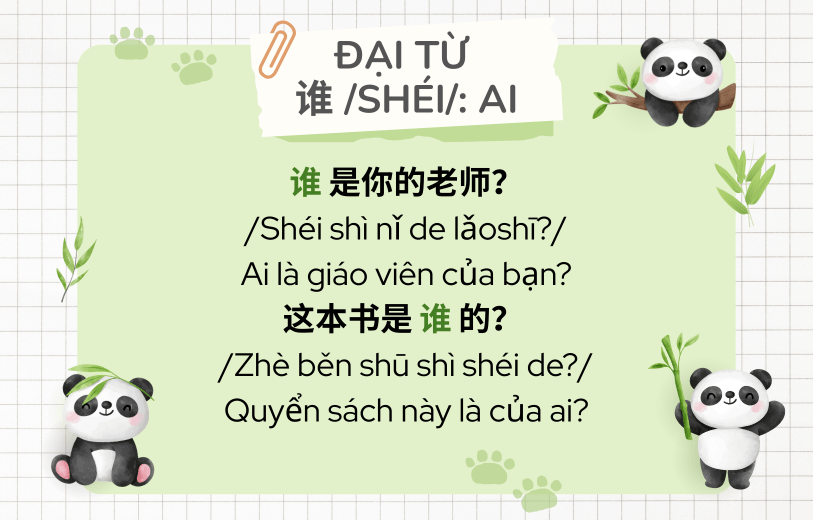Ví dụ đại từ nghi vấn tiếng Trung 谁 /shéi/