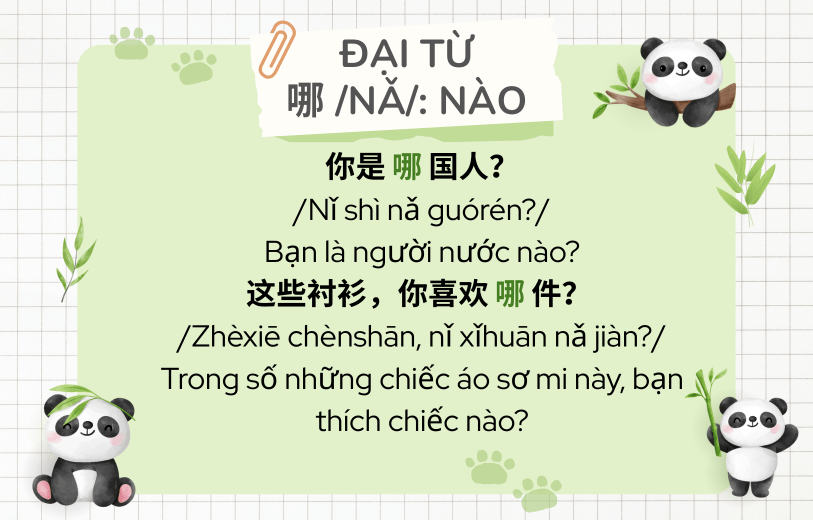 Ví dụ đại từ nghi vấn tiếng Trung 哪 /nǎ/