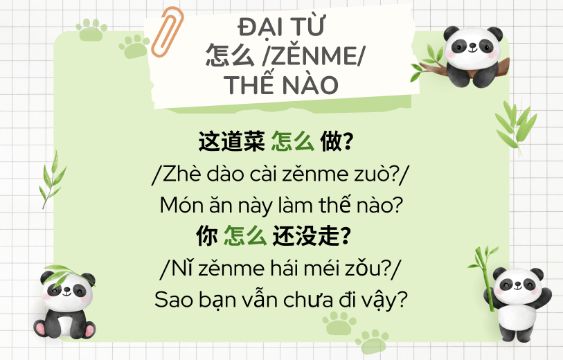 Ví dụ đại từ nghi vấn tiếng Trung 怎么 /zěnme/