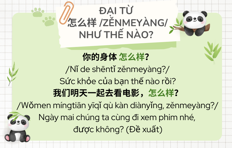 Ví dụ đại từ nghi vấn tiếng Trung 怎么样 /zěnmeyàng/
