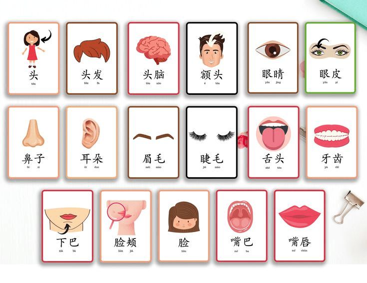 Flashcard tiếng Trung kèm hình ảnh minh họa giúp nâng cao hiệu quả ghi nhớ từ vựng