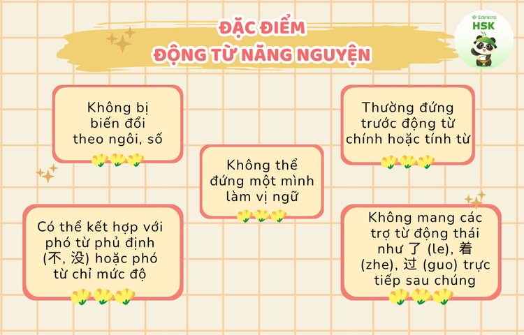 Đặc điểm chung của các động từ năng nguyện trong tiếng Trung