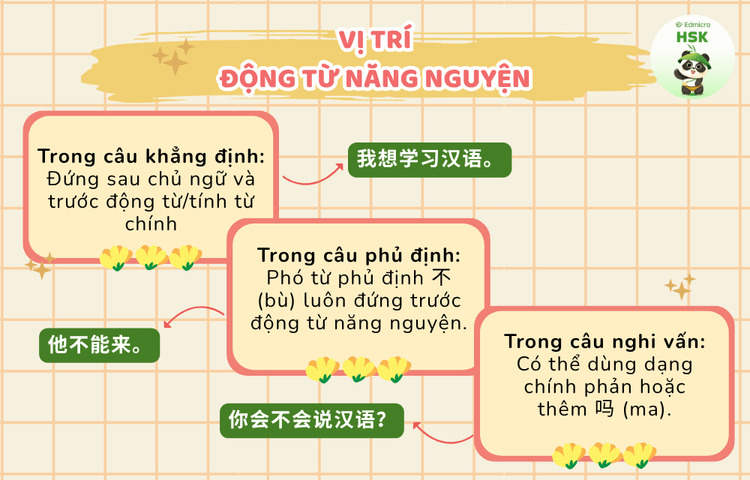 Ví trí của động từ năng nguyện trong câu