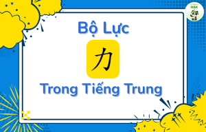 Bộ Lực trong tiếng Trung là gì?