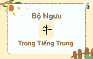 Bộ Ngưu trong tiếng Trung là gì?