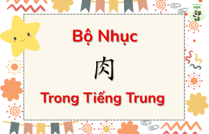 Bộ Nhục trong tiếng Trung là gì?