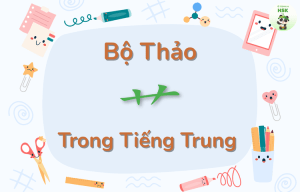 Bộ Thảo trong tiếng Trung là gì?