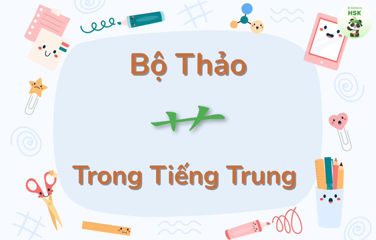 Bộ Thảo trong tiếng Trung là gì?
