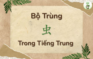 Bộ Trùng trong tiếng Trung là gì?