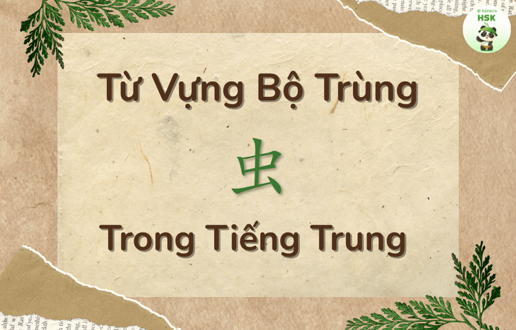Từ vựng có bộ Trùng trong tiếng Trung