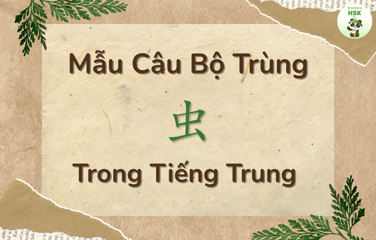 Mẫu câu có bộ Trùng trong tiếng Trung