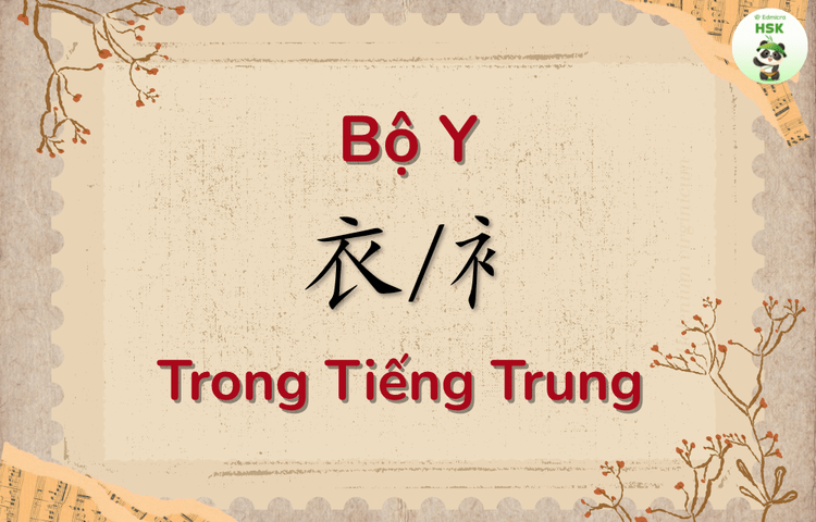 Bộ Y trong tiếng Trung là gì?