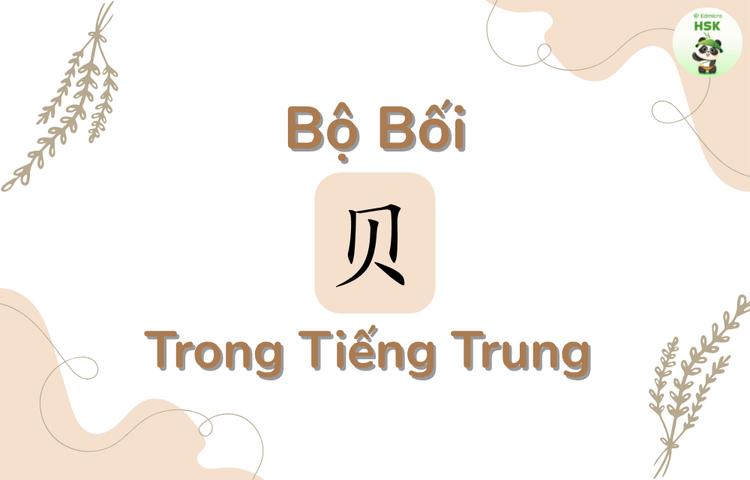 Bộ Bối trong tiếng Trung là gì?