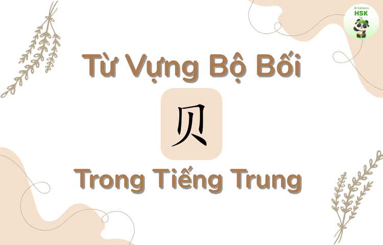 Từ vựng có bộ Bối trong tiếng Trung