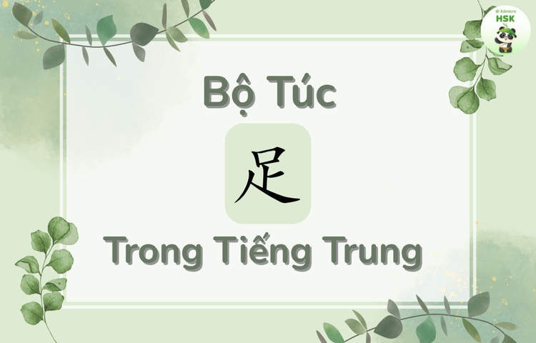 Bộ Túc trong tiếng Trung là gì?