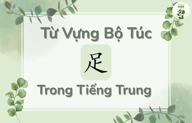 Từ vựng có bộ Túc trong tiếng Trung