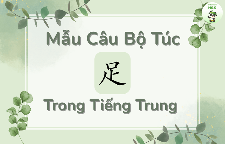 Mẫu câu có bộ Túc trong tiếng Trung