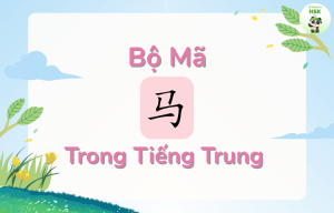 Bộ Mã trong tiếng Trung là gì?