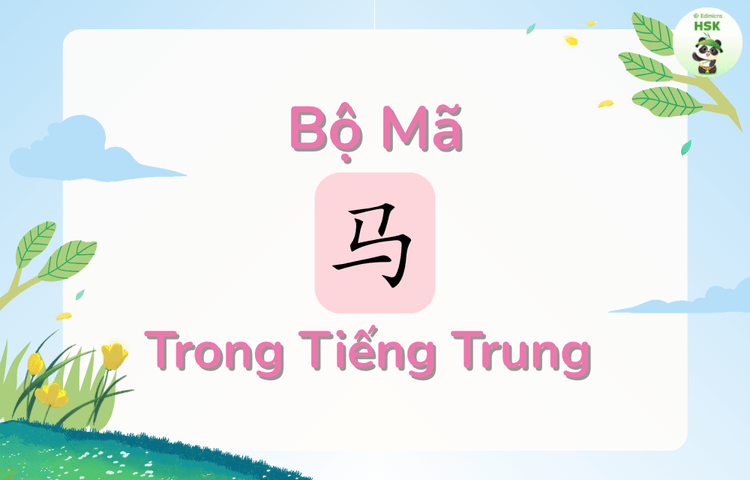 Bộ Mã trong tiếng Trung là gì?