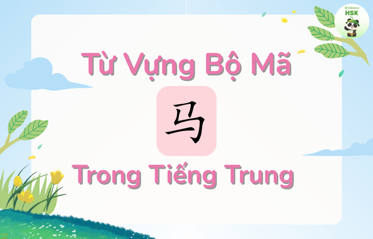 Từ vựng có bộ Mã trong tiếng Trung
