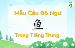 Mẫu câu có bộ Ngư trong tiếng Trung