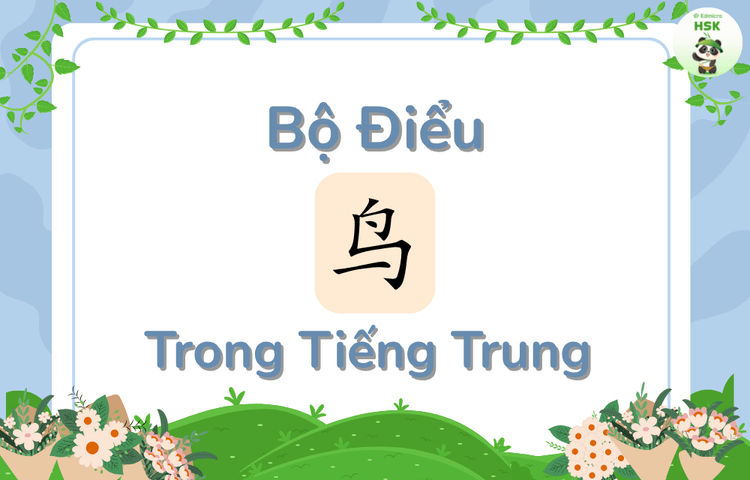 Bộ Điểu trong tiếng Trung là gì?