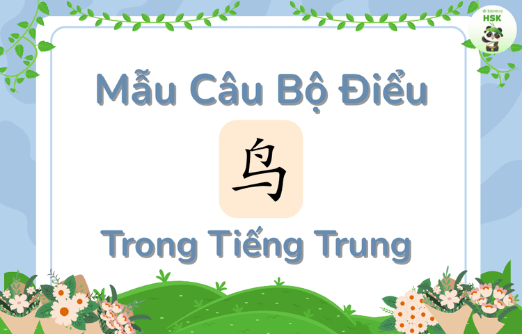 Mẫu câu có bộ Điểu trong tiếng Trung