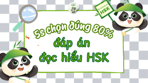 đọc hiểu HSk