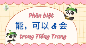 Phân biệt 能，可以，会