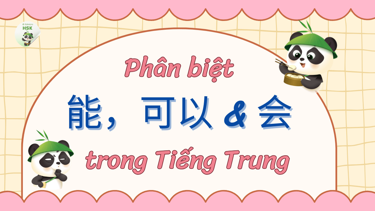 Phân biệt 能，可以，会