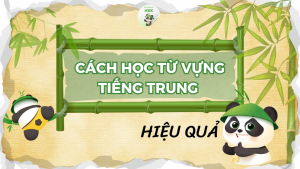 Cách học từ vựng tiếng Trung hiệu quả cho người mới bắt đầu